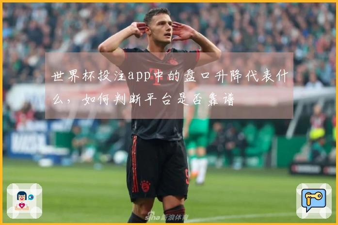 世界杯投注app中的盘口升降代表什么，如何判断平台是否靠谱