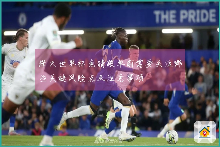 烽火世界杯竞猜跟单前需要关注哪些关键风险点及注意事项