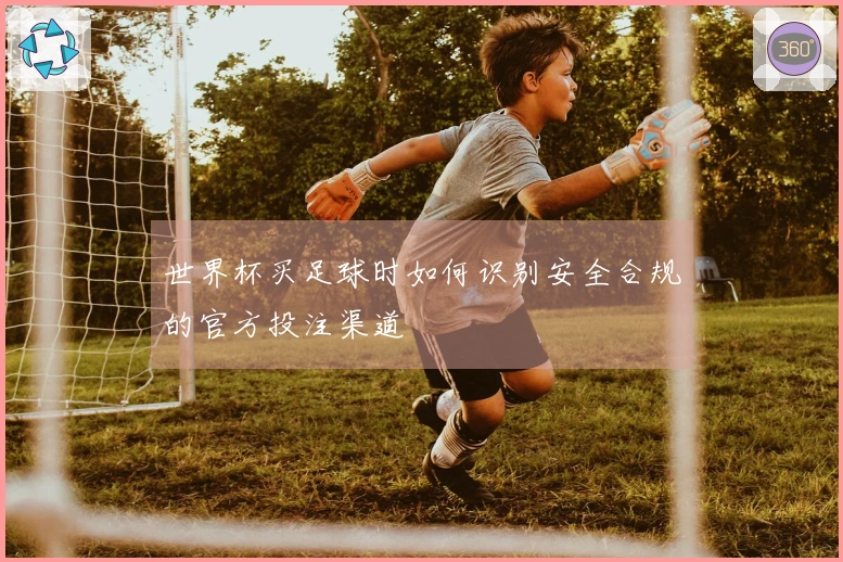 世界杯买足球时如何识别安全合规的官方投注渠道