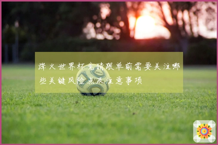 烽火世界杯竞猜跟单前需要关注哪些关键风险点及注意事项