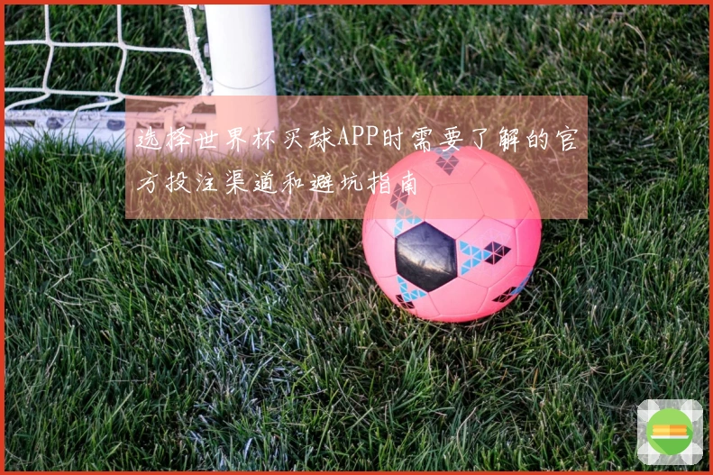 选择世界杯买球APP时需要了解的官方投注渠道和避坑指南
